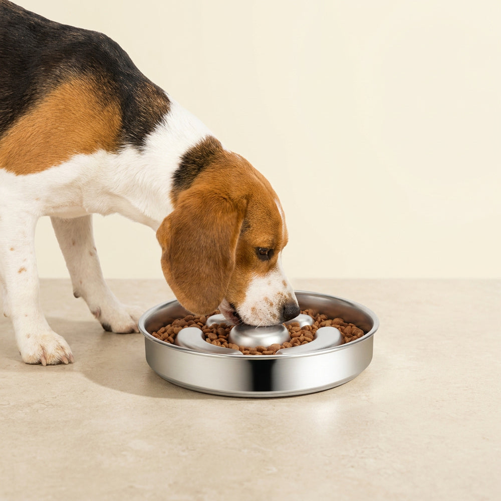 Side view of a dog eating from the stainless-steel slow feeder.