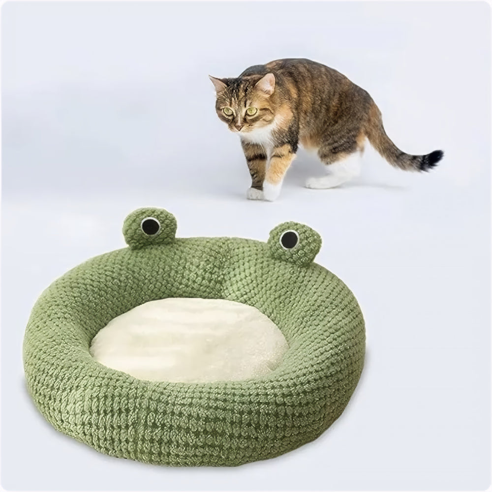 Chat tigré s'approchant du lit grenouille CloudSleep