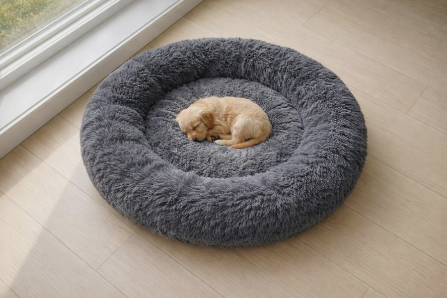 Bed, calm sleep