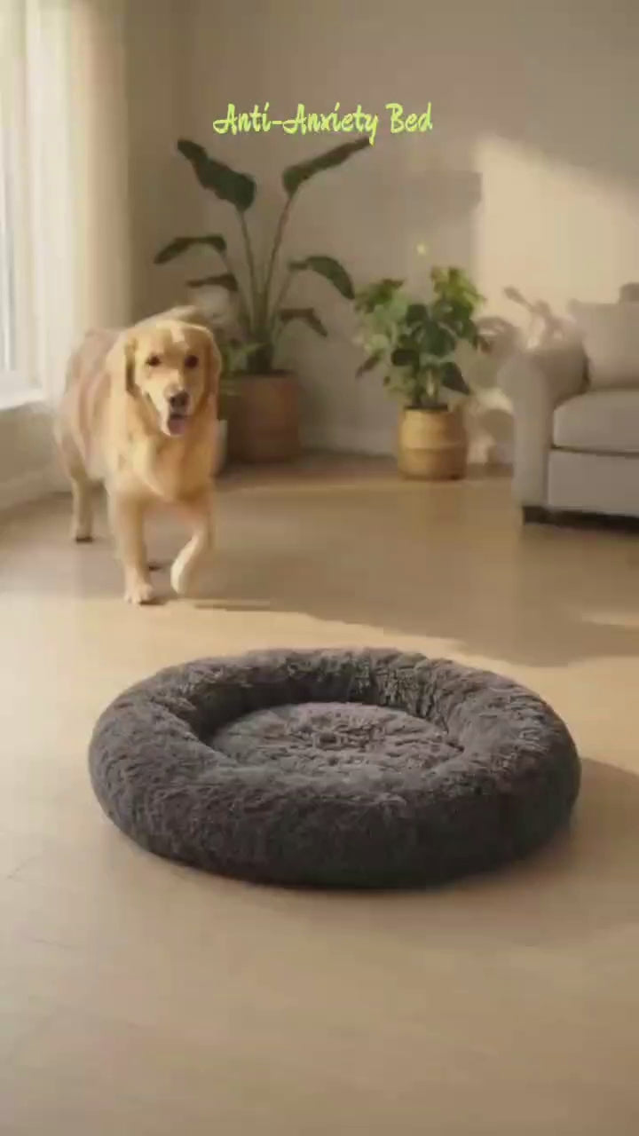 A golden retriever rests its chin on the raised rim of the dark grey bed and drifts off to sleep.